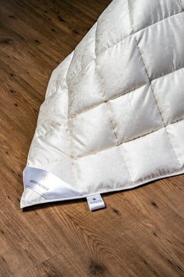 Купить Пуховое одеяло в шелке Seidenweber VIDA (D19) Warm