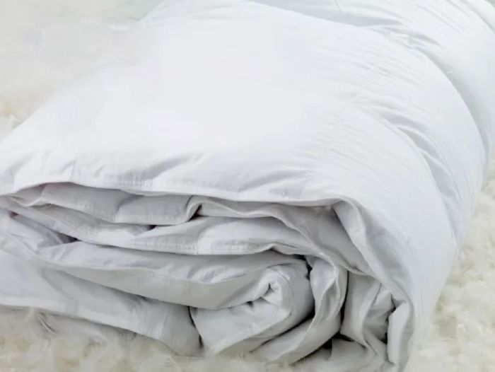Купить Пуховое одеяло Cinelli Edredone Spring 100% пух Гаги (Всесезонное)