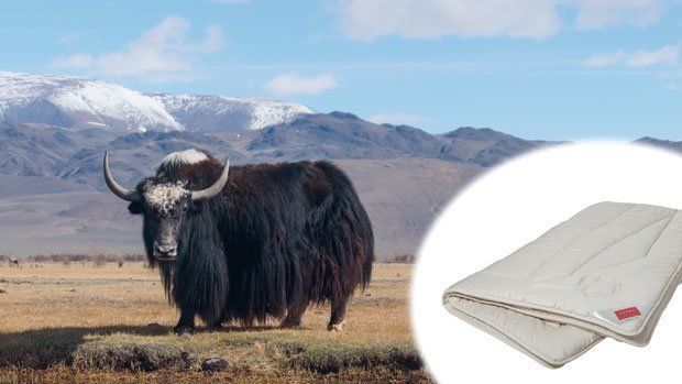 Купити Ковдра шерсть як + овеча Hefel Pure Yak-Wool (GD) Всесезонне