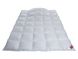 Одеяло пуховое Hefel Platinum Down 100 (GD) Всесезонное 2