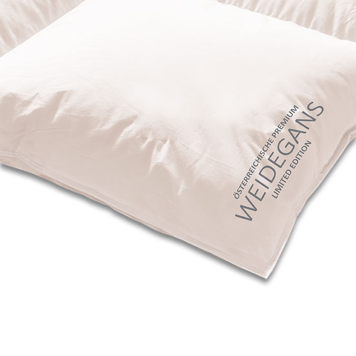 Купить Одеяло из австрийского пуха  Weidegans Kauffmann  (Всесезонное)