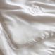 Одеяло шелк Gingerlily в шелковом чехле Всесезонное 2