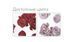 Постельное белье Signoria Firenze Rosa 2