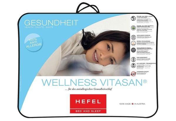 Купить Одеяло гипоаллергенное Hefel Wellness Vitasan (SD) Летнее