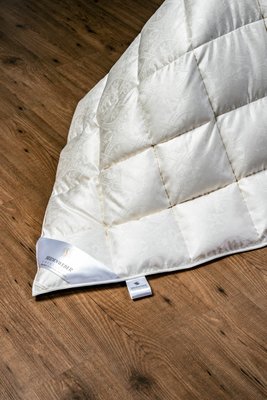 Купить Пуховое одеяло из пуха Гаги в шелке Seidenweber VIDA Medium