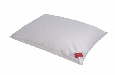 Buy Hefel Silver feather pillow  (Medium)