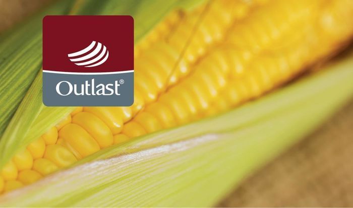 Купить Одеяло Hefel Outlast&reg; & Maize (SD) Летнее