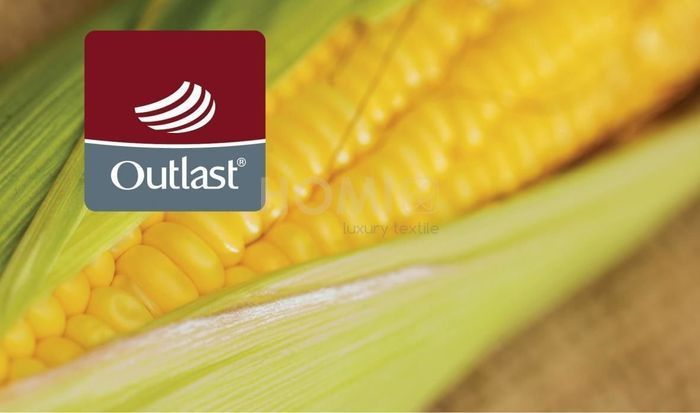 Купити Ковдра Hefel Outlast&reg; & Maize (GD) Всесезонна