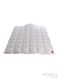 Одеяло пуховое Hefel De Luxe Down Tencel 100 (GD) Всесезонное 3